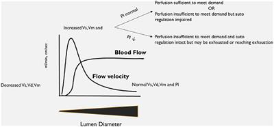 Transcranial Doppler Ultrasonographic Evaluation of Cerebrovascular Abnormalities in Children With Acute Bacterial Meningitis